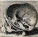 {image}